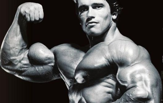 Ovo su najveće ruke ikada viđene u bodybuildingu Ovo su najveće ruke ikada viđene u bodybuildingu