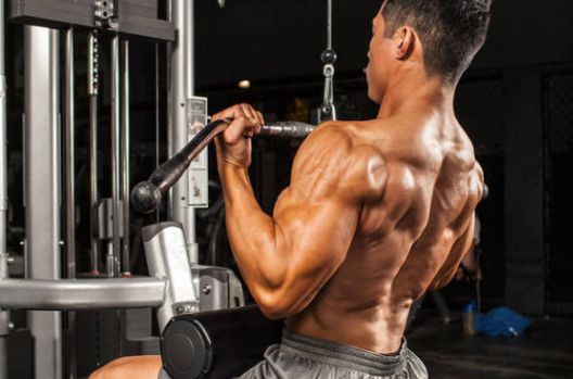 Stvari koje treba znati prije polaska u teretanu