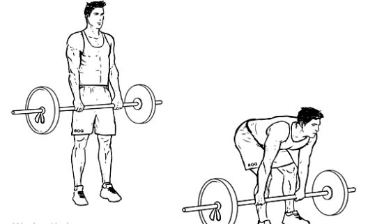 Koja vježba je najbolja za svaku mišićnu grupu?