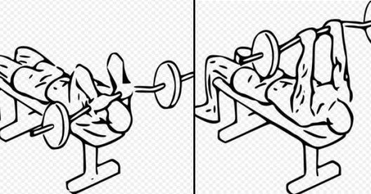 Koja vježba je najbolja za svaku mišićnu grupu?