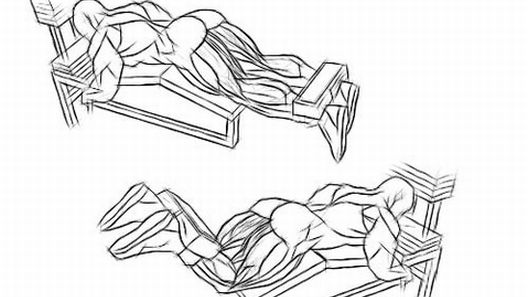 Koja vježba je najbolja za svaku mišićnu grupu?