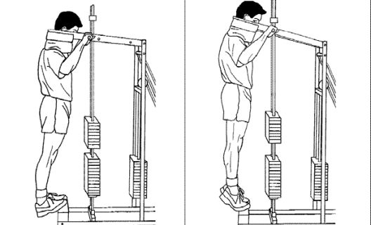 Koja vježba je najbolja za svaku mišićnu grupu?