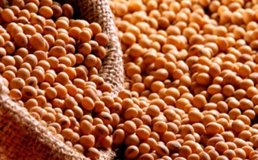 Koja je hrana najbolja za rast mišića?