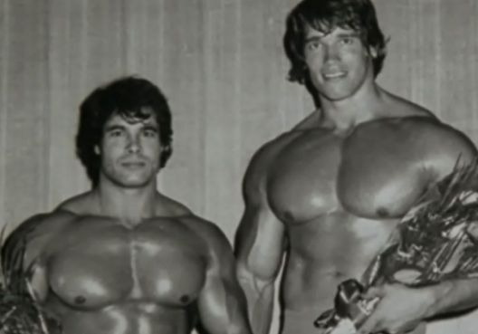 Izvor inspiracije: Arnoldovih šest pravila uspjeha