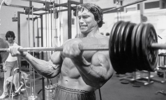 Izvor inspiracije: Arnoldovih šest pravila uspjeha