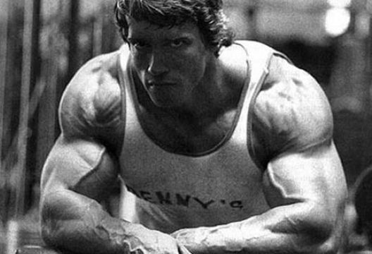 Izvor inspiracije: Arnoldovih šest pravila uspjeha