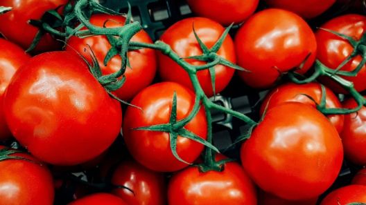 Hrana koja ne deblja: Utolite glad bez brige