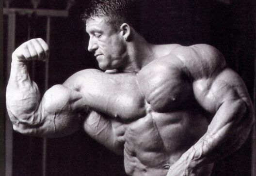 Deset stvari kojima nas uče najveći bodybuilderi