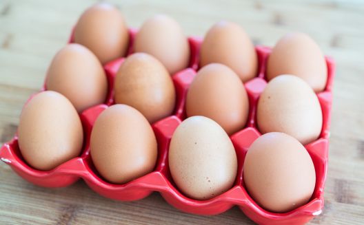 Studentski budžet i pitanje kako do proteina