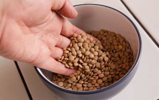 Studentski budžet i pitanje kako do proteina