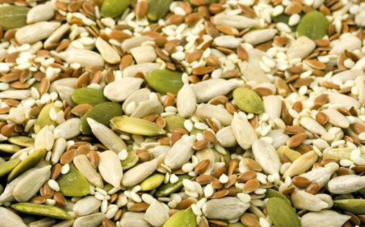 Osam načina kako unijeti proteine bez jedenja mesa Osam načina kako unijeti proteine bez jedenja mesa