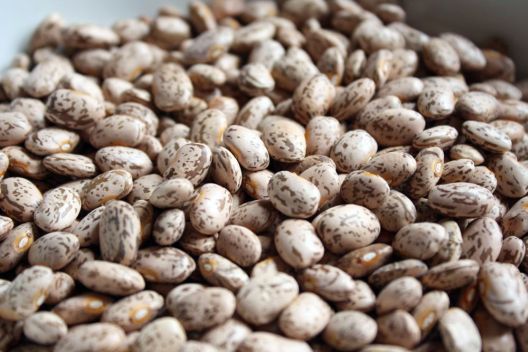 Osam načina kako unijeti proteine bez jedenja mesa Osam načina kako unijeti proteine bez jedenja mesa