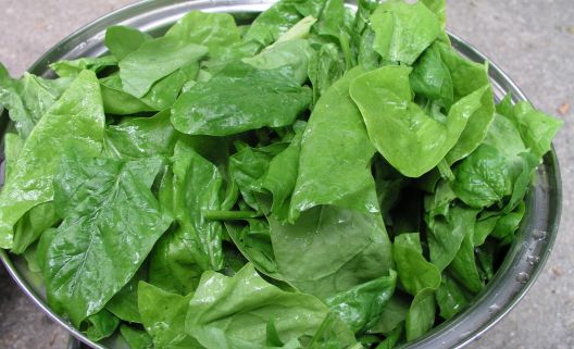 Osam načina kako unijeti proteine bez jedenja mesa