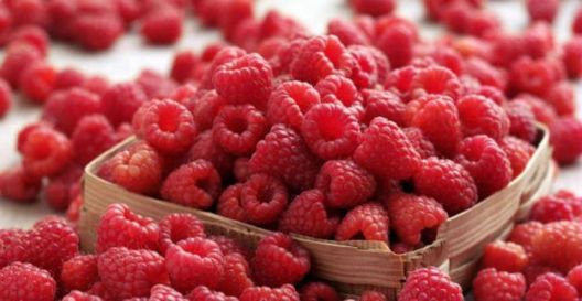 Evo šta crveno voće i povrće radi vašem tijelu