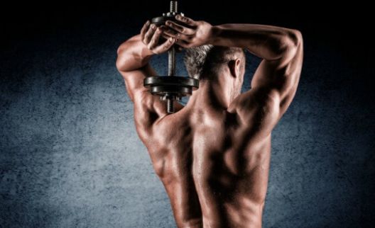 Kako pristupiti treningu zaostajućih grupa mišića?