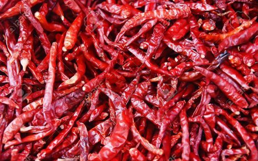 Ljute papričice: Jedna od najzdravijih namirnica Ljute papričice: Jedna od najzdravijih namirnica