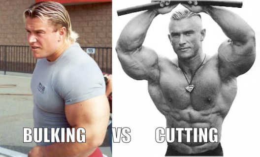 Sedam stvari koje je doživio svaki bodybuilder