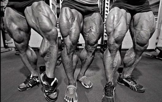 Sedam stvari koje je doživio svaki bodybuilder