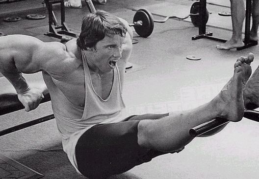 Superset šampiona: 4 koja prave najveći napredak