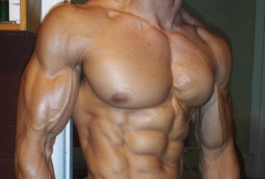 Vaskularnost i indeks tjelesne masti