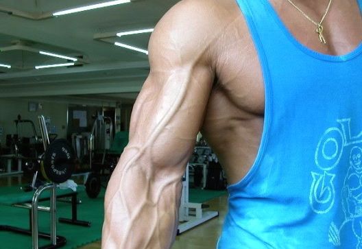 Vaskularnost i indeks tjelesne masti