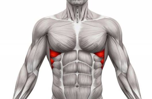 Ignorisani mišići koji daju simetričan izgled