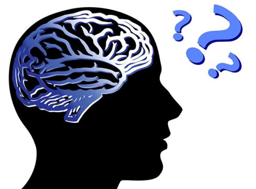 Guarana - Biljka za vitko tijelo i energiju Guarana - Biljka za vitko tijelo i energiju