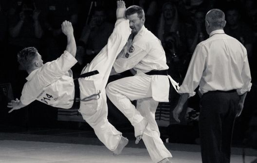 Top 10 najefikasnijih borilačkih vještina