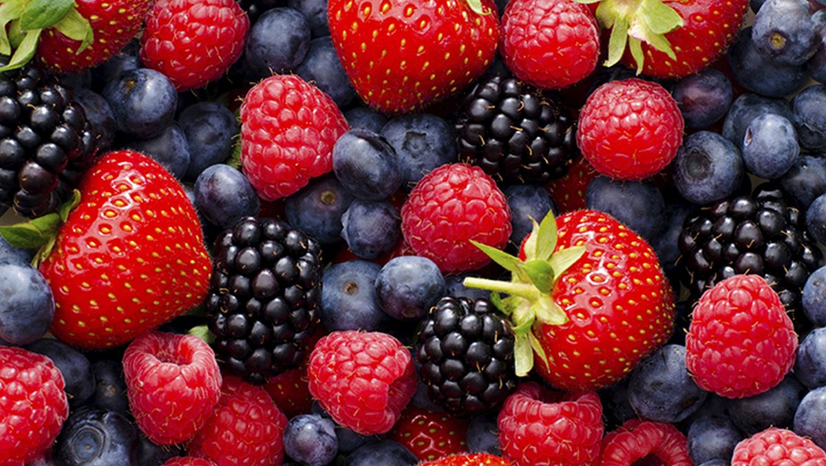 Kako poboljšati rad mozga