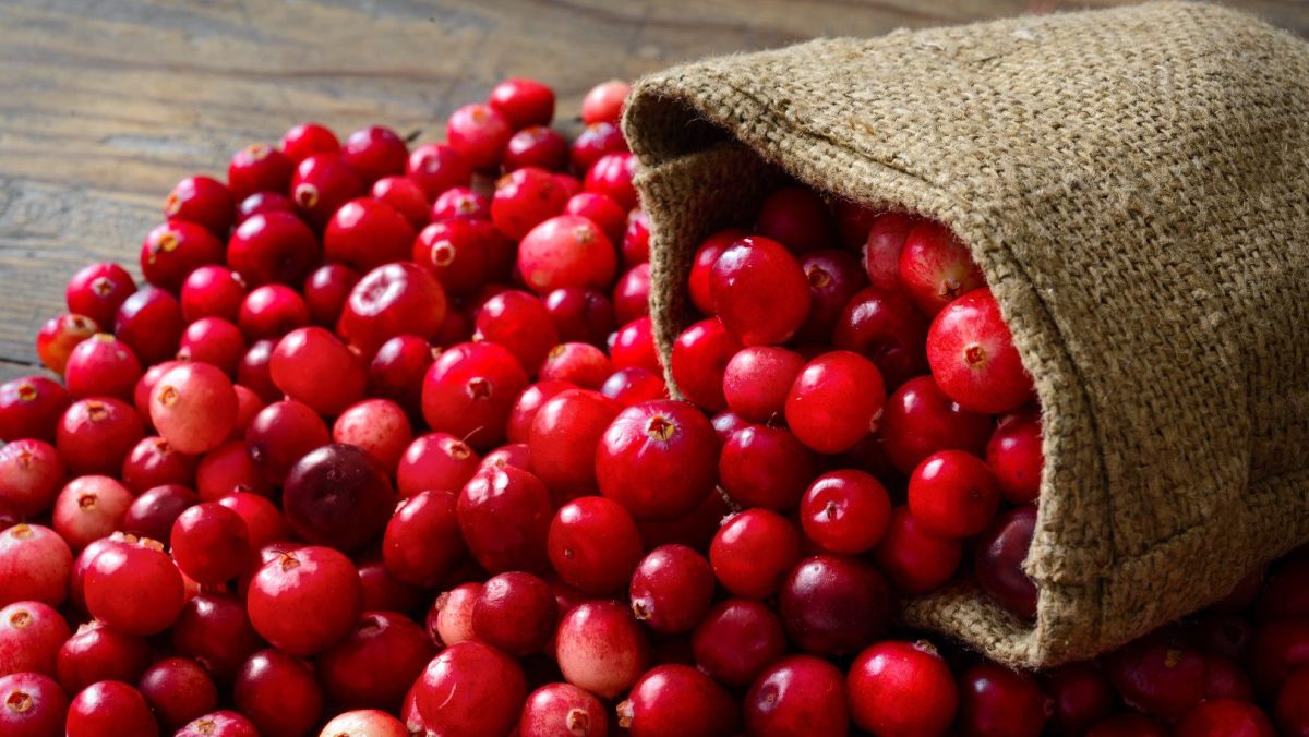 10 namirnica koje pospješuju rad bubrega