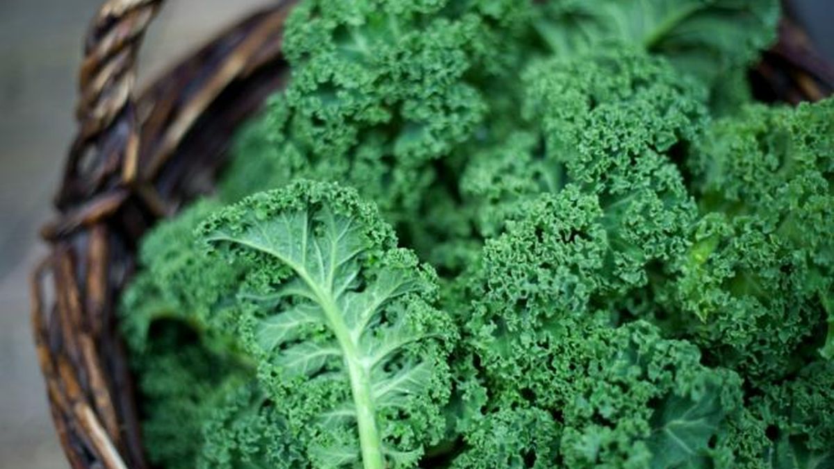 10 namirnica koje pospješuju rad bubrega