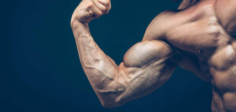 Tri istine o mišićima i vježbanju koje većina ne zna
