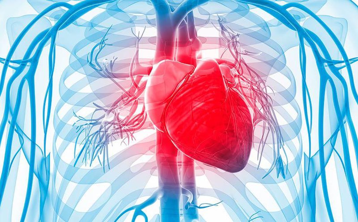 10 pogodnosti đumbira