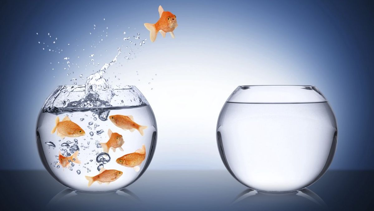 7 savjeta kako biti mentalno fit