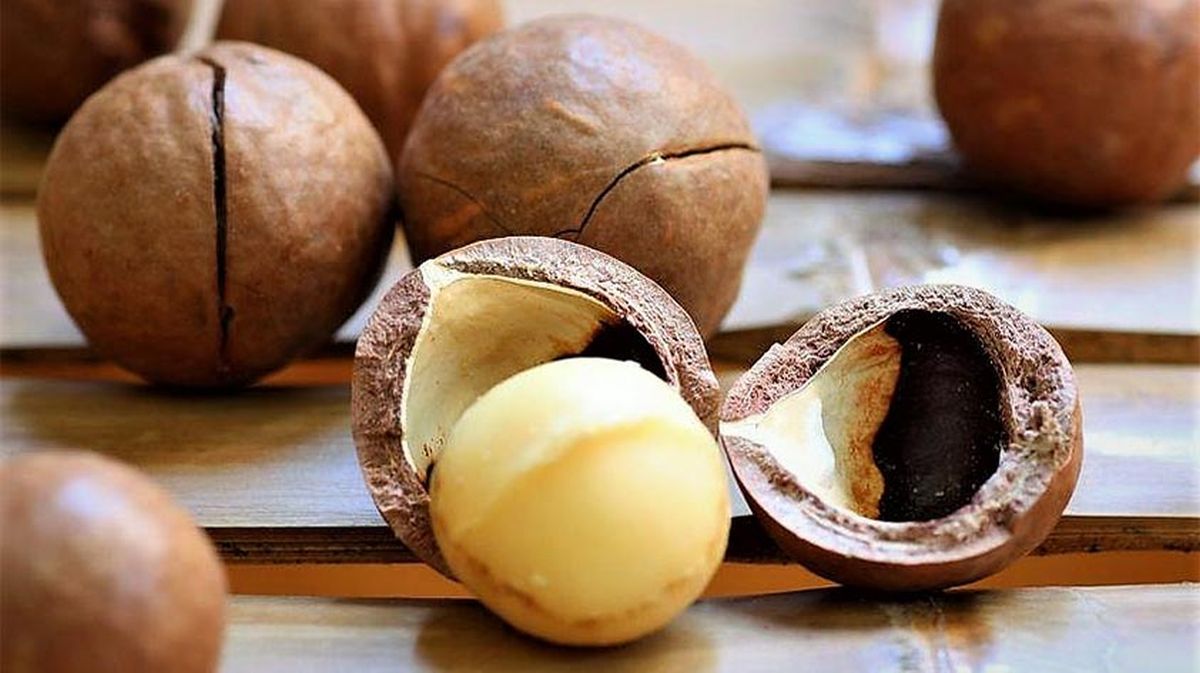 Najzdraviji orašasti plodovi Najzdraviji orašasti plodovi