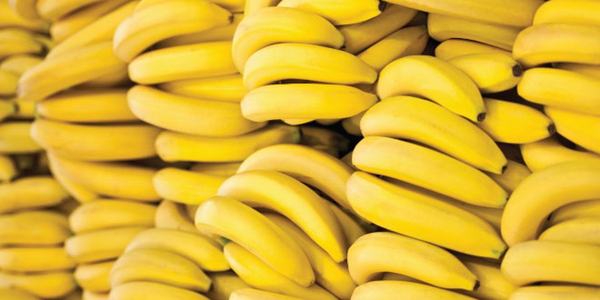 Namirnice bogate vitaminom B6