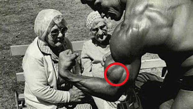 Aktivacija sva tri polja: Trening bicepsa u maniru najvećih znalaca