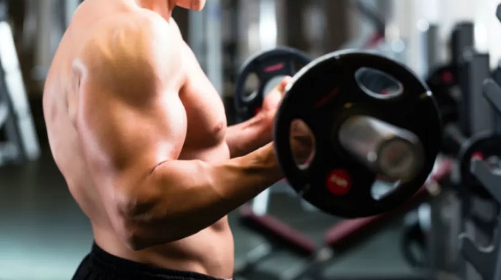 Najvažnije vježbe za svih šest mišićnih partija