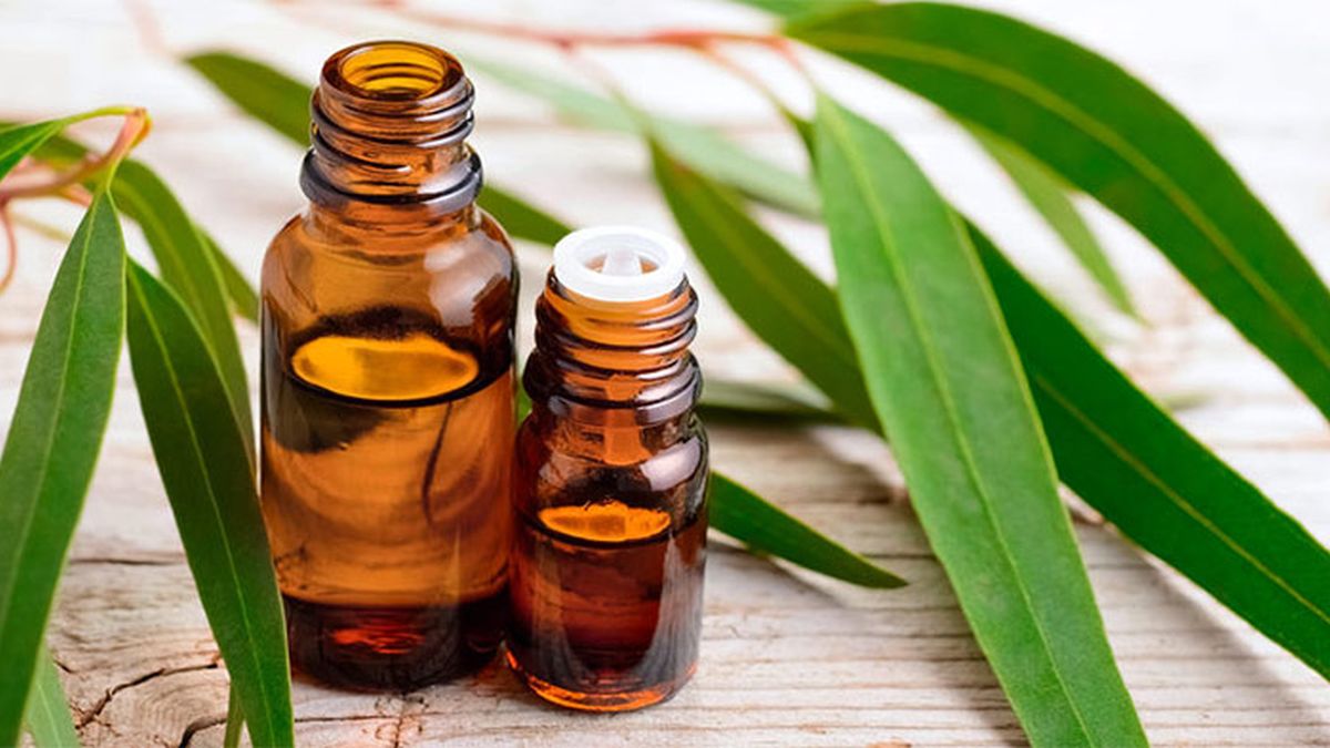 Eterična ulja koja ublažavaju simptome alergija 