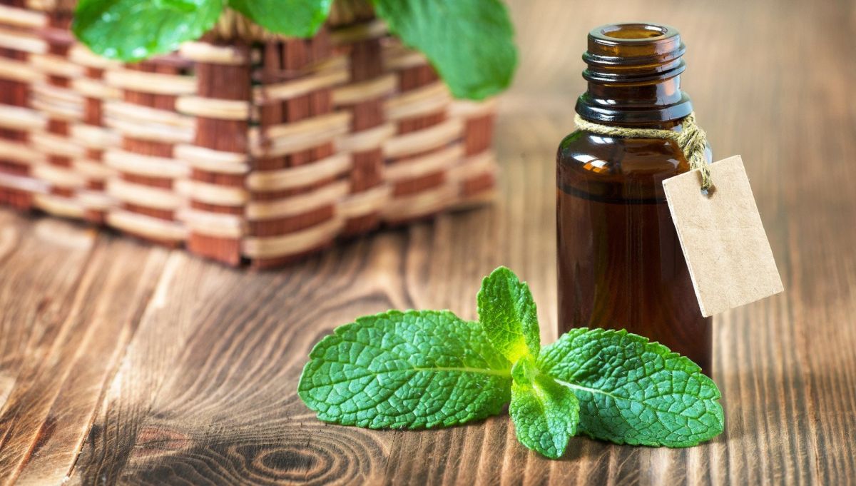 Eterična ulja koja ublažavaju simptome alergija 