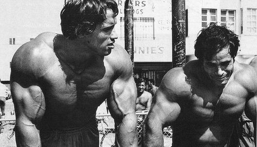 Pet znakova da ste postali ovisni o željezu Pet znakova da ste postali ovisni o željezu