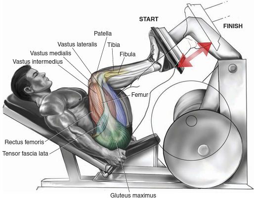 Sve što vam treba: Najbolji trening programi sadrže samo ovih osam vježbi