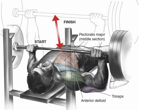 Sve što vam treba: Najbolji trening programi sadrže samo ovih osam vježbi