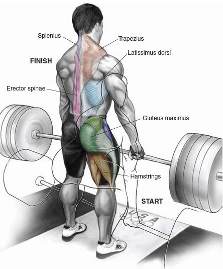 Sve što vam treba: Najbolji trening programi sadrže samo ovih osam vježbi