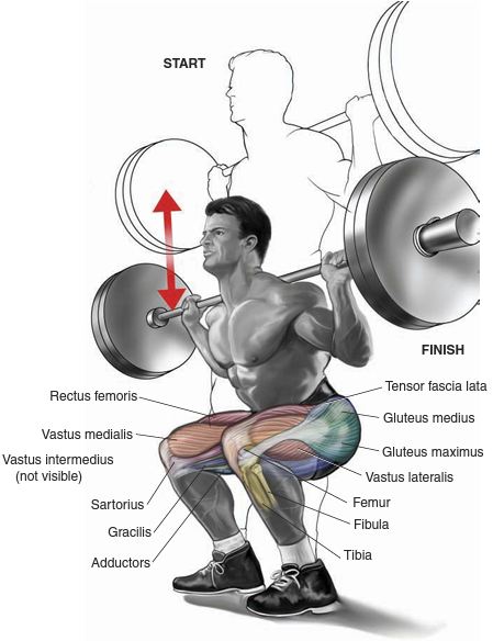 Sve što vam treba: Najbolji trening programi sadrže samo ovih osam vježbi