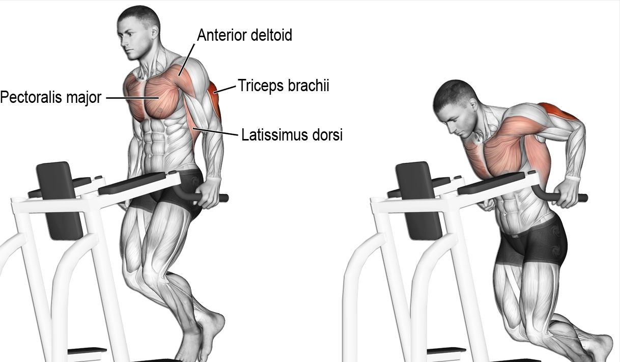 Sve što vam treba: Najbolji trening programi sadrže samo ovih osam vježbi