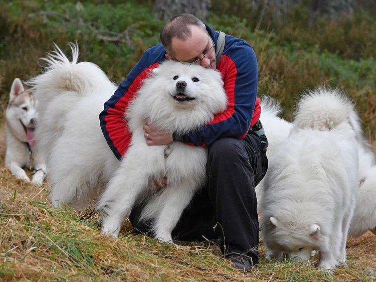 Kako vam vaš pas može popraviti zdravlje?