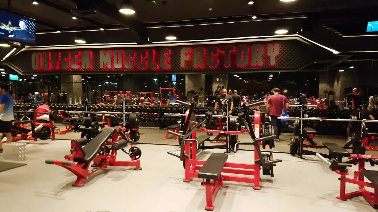 Top 5 teretana koje bi trebali posjetiti do kraja života