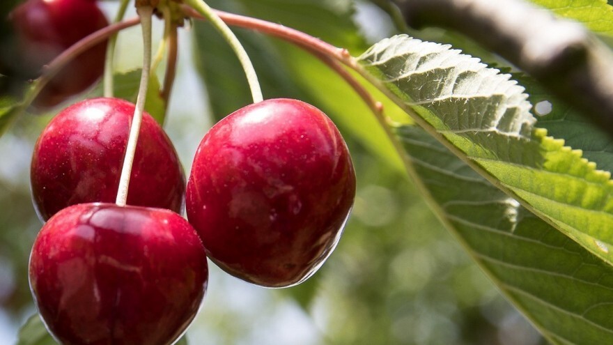 Namirnice koje uzrokuju žute zube