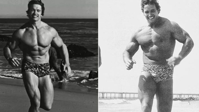 Kako izgleda njihov dan: Top 10 dnevnih navika uspješnih bodybuildera Kako izgleda njihov dan: Top 10 dnevnih navika uspješnih bodybuildera